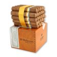 Cohiba Robustos Cigar Supply