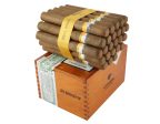 Cohiba Siglo IV Cigar For Sale